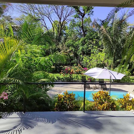 House In The Palm Forest Puerto Carrillo Ngoại thất bức ảnh