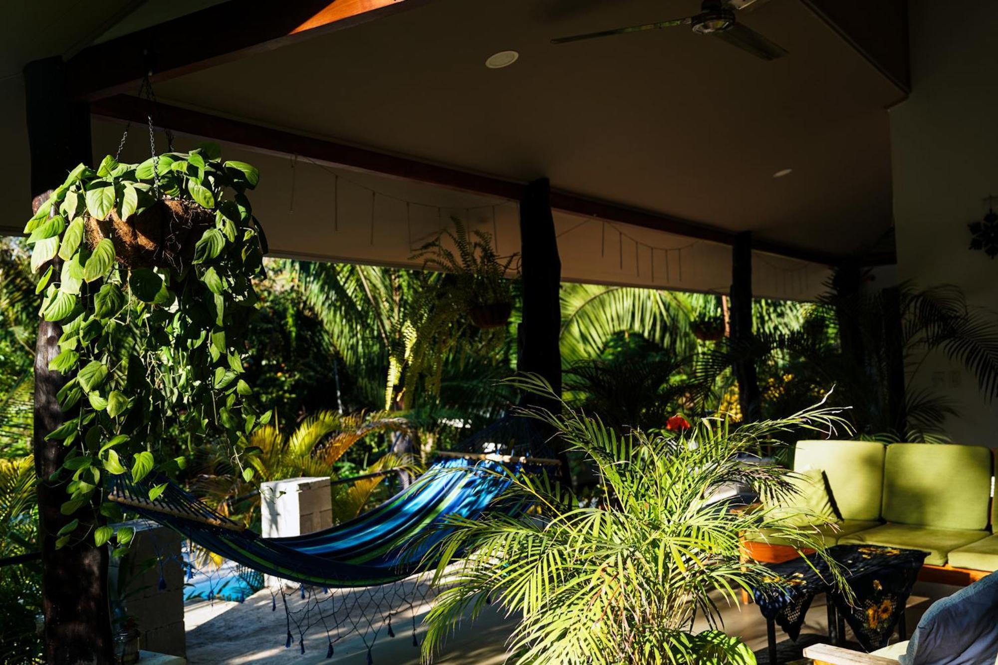 House In The Palm Forest Puerto Carrillo Ngoại thất bức ảnh