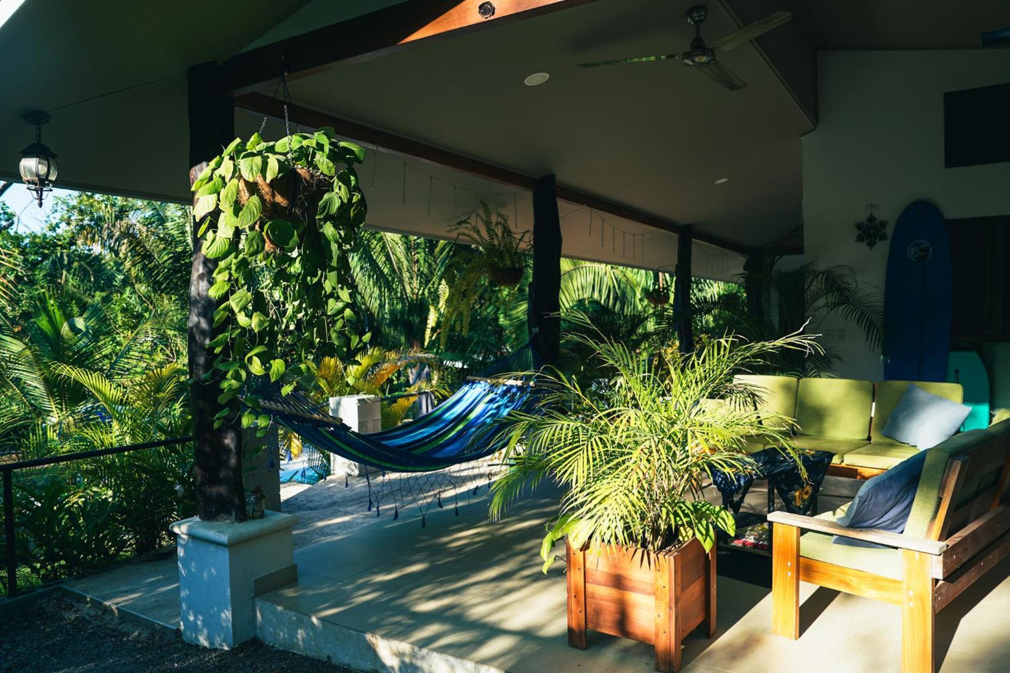 House In The Palm Forest Puerto Carrillo Ngoại thất bức ảnh