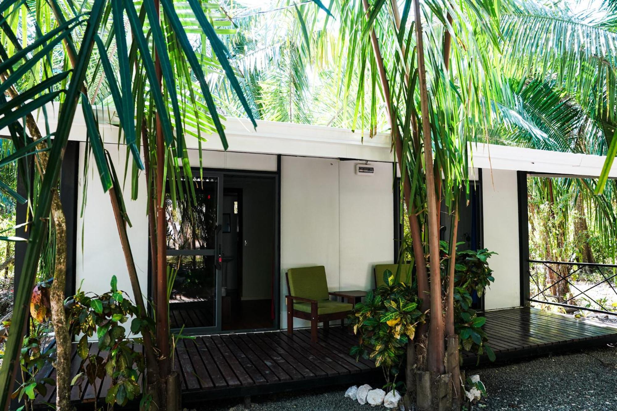 House In The Palm Forest Puerto Carrillo Ngoại thất bức ảnh