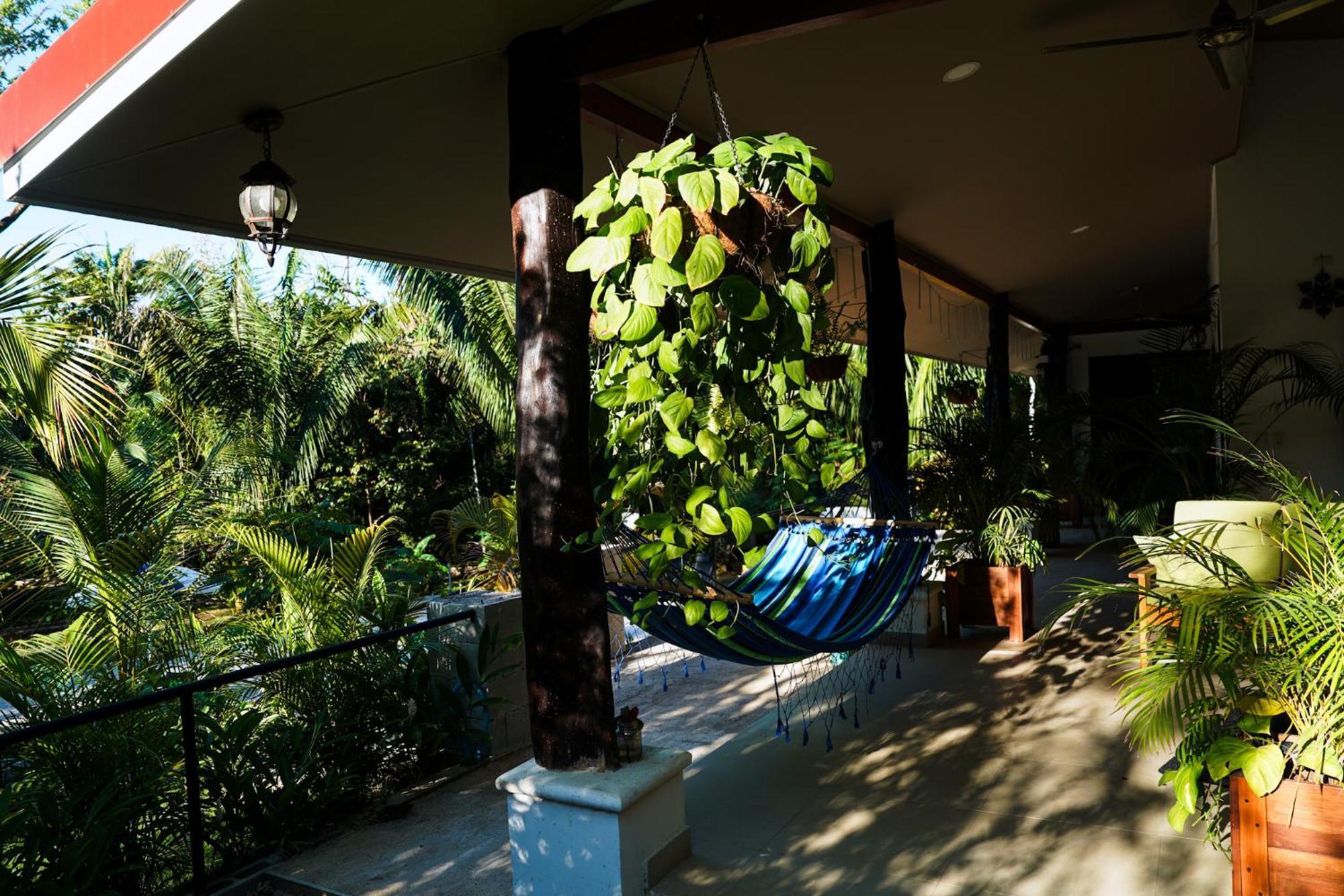 House In The Palm Forest Puerto Carrillo Ngoại thất bức ảnh