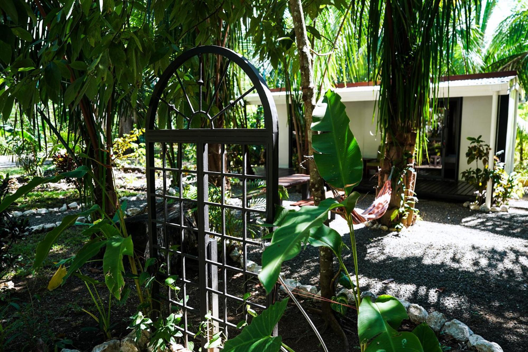 House In The Palm Forest Puerto Carrillo Ngoại thất bức ảnh