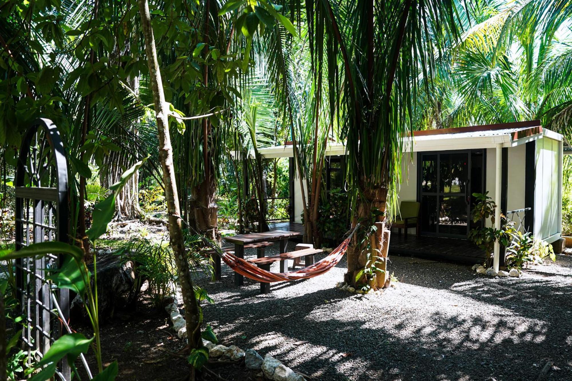 House In The Palm Forest Puerto Carrillo Ngoại thất bức ảnh