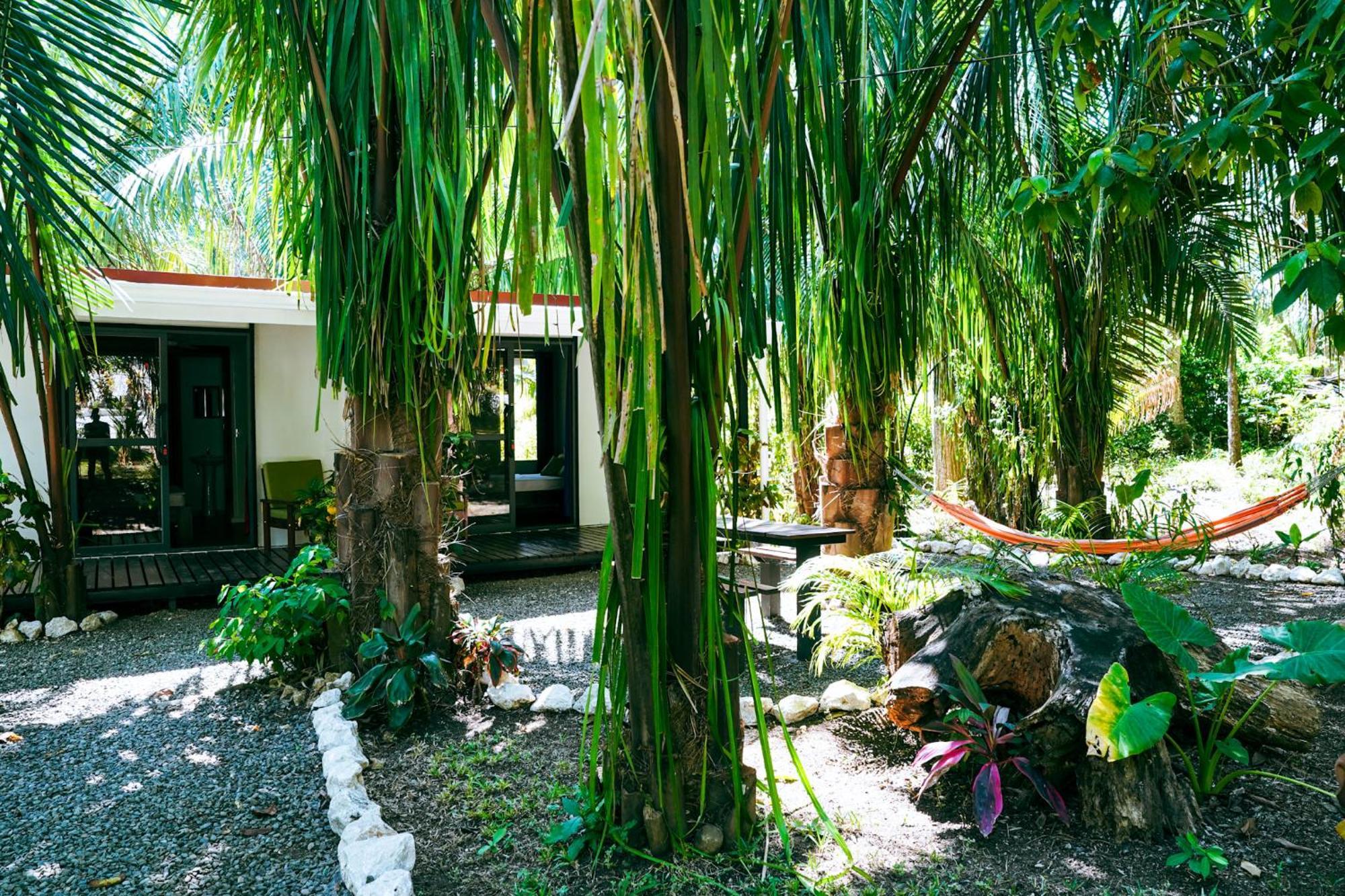 House In The Palm Forest Puerto Carrillo Ngoại thất bức ảnh
