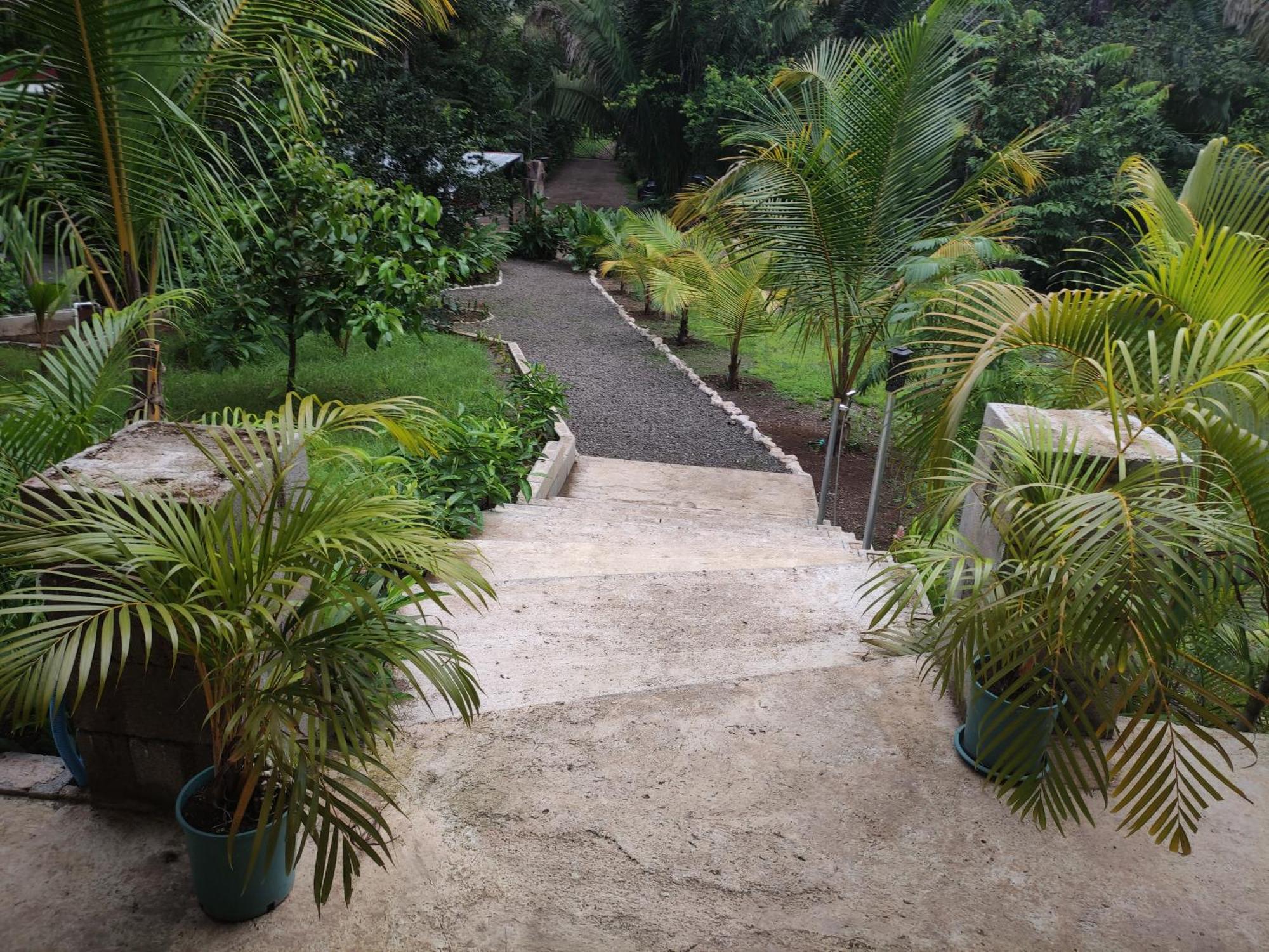 House In The Palm Forest Puerto Carrillo Ngoại thất bức ảnh