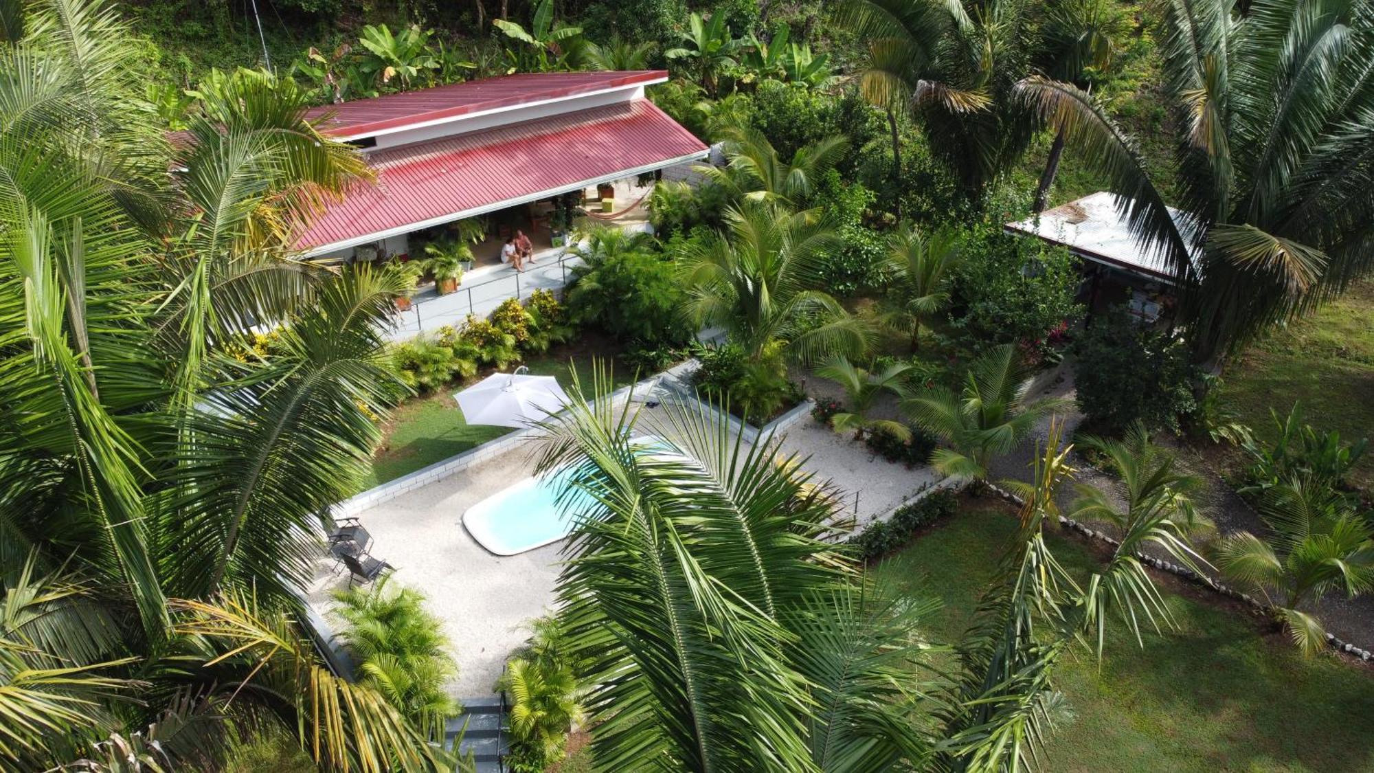 House In The Palm Forest Puerto Carrillo Ngoại thất bức ảnh